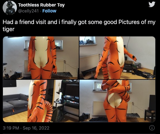 Toothless Rubber Toy